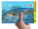 Sea Emperor / Wreck Trek Boca Reef Smart Guide