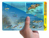 Reef Smart Guide - Ancient Mariner / Deerfield Wreck Trek